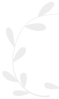 Curved branch with grey leaves on a white background.